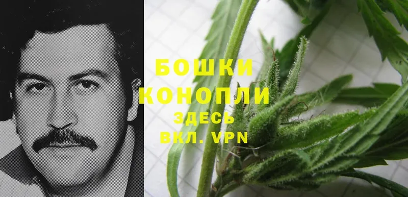 блэк спрут tor  Белокуриха  Конопля индика 